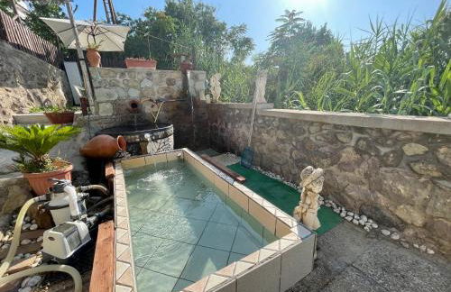 Villa Raffaela - Appartamenti Lacco Ameno - Foto 37