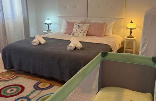 Anjú-Pardal - Foto 31