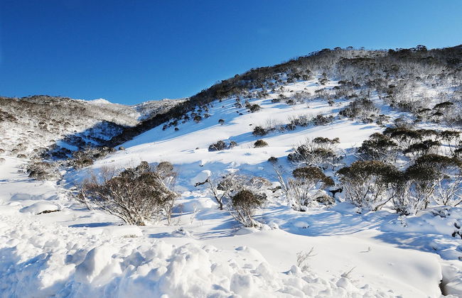 Cedar Creek 2 - Photo 13