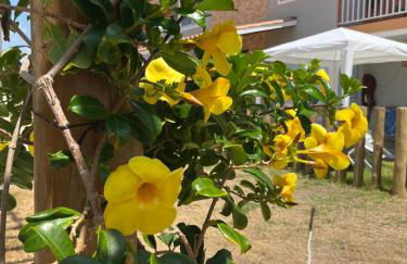 Ap à 600 metros da praia, um verdadeiro paraíso! - Foto 12