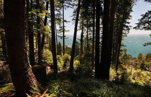 Ocean Bluff Serenity - Foto 13