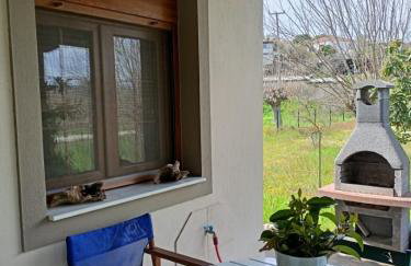 The House in the Mulberries Trees - Photo 28