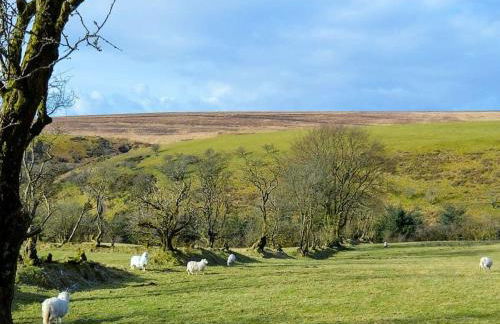 3 Bed in Llanllwni 91447 - Foto 12