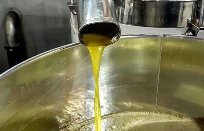 Villa Cavalletti - Foto 43