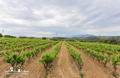 Masia Can Canyes & Spa - Photo 88