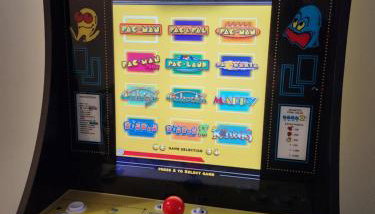 Fly Away Home - Foto 2