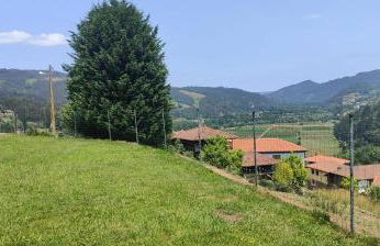 La Casita de Tití - Photo 11