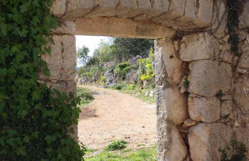 Apartman ELLA - Foto 37