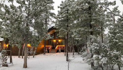 Hot Tub & Ponderosa Views! Luxe Cabin in Lakeside - Foto 2