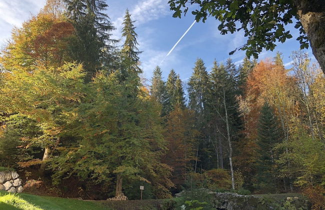 Le Moulin des Olirics - Foto 44