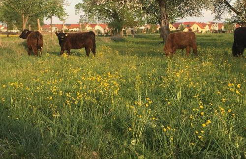 Ferienhof Weber Nieratz - Foto 38
