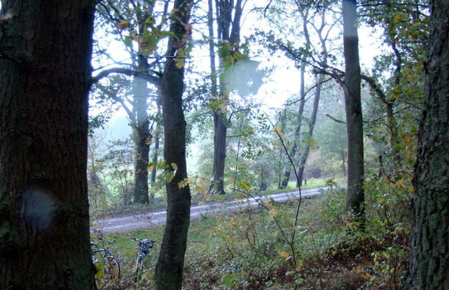 in the Estate Worker's House - Foto 13