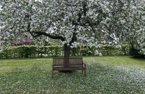 Huus Marschkiek - Foto 7