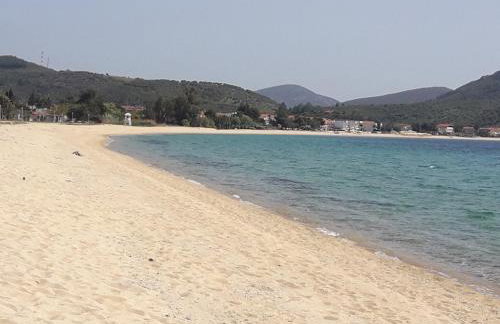 TORONI ALPHA STUDIOS - Foto 21