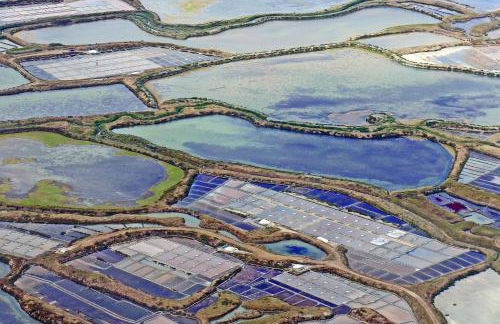 La Plage - Appartement face mer sur la plage - Foto 18