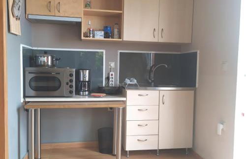 Banana Leaves Flat - Foto 8