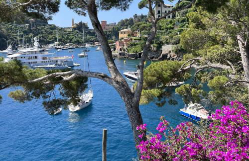 Aquarium Apt SML - Parcheggio Gratis, Terrazzo - Foto 24