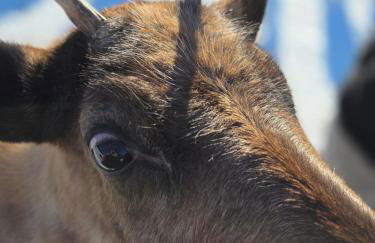 Vertu'Ose avec jacuzzi - Foto 11
