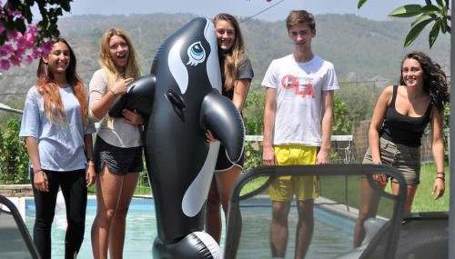 Villa Frangipani with large private pool, Rhodes - Foto 4