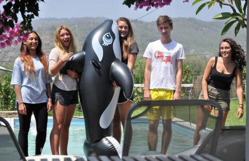 Villa Frangipani with large private pool, Rhodes - Photo 4