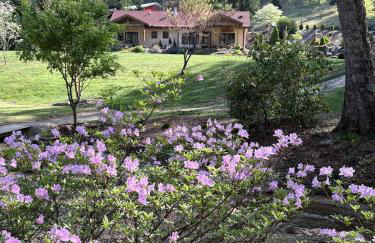 Apeldoorn House - 25 min to downtown Asheville - Foto 32