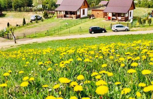 Domki Eden z Ballią - Foto 46