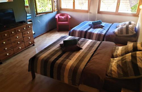 Au nid de la foret - Foto 13