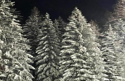 Ferienwohnung in Madfeld - Foto 58