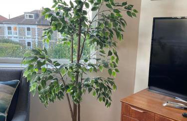 Delightful airy apartment in leafy St Andrews - Foto 12