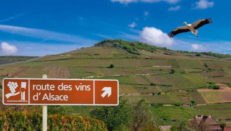 Studio côté nature - trois épis de Turckheim - Foto 2