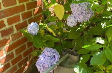 Ferienwohnung 2 Holthusen 25516 - Foto 7