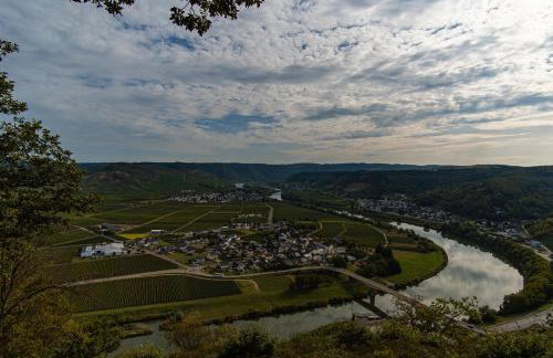 Fewo Rieslingglück - Urlaub im Wein- und Ferienort Bekond - Foto 8