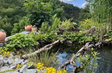 Dicker Stein - Foto 30