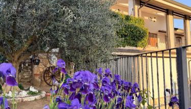 Il Rifugio dorato guest house - Foto 1
