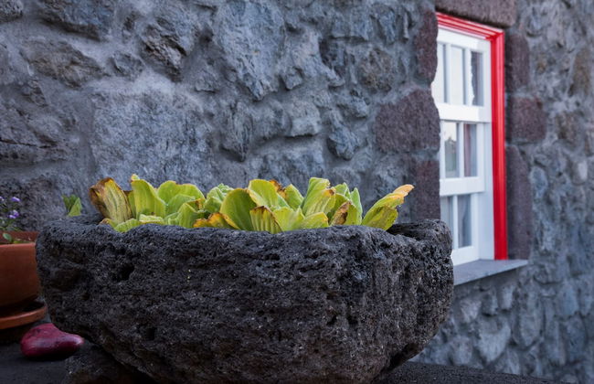 Casa do Zé - AL - Foto 66