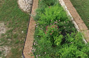 La Terrazza delle Noci - alloggio agrituristico - Foto 20