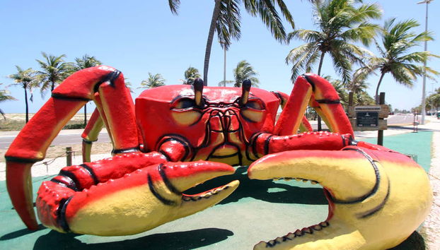 Cangrejo gigante de Aracaju