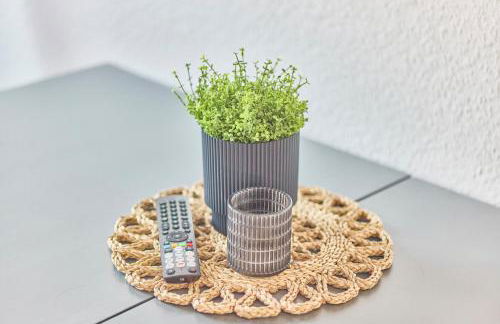 Schöne Wohnung Ludwigshafen Balkon WLAN Zentrale Lage - Foto 46