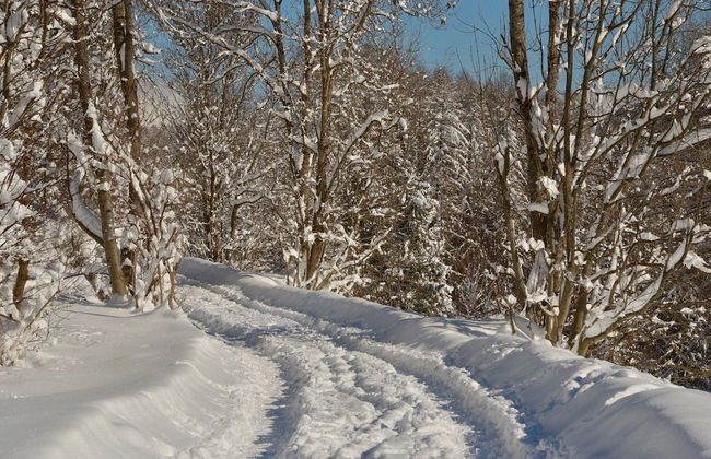Apartment in Fulpmes Near Stubai Glacier - Foto 34