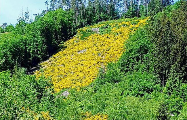 Ortho Hideaway With Garden - Foto 22