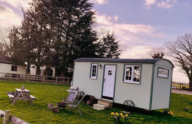 Starry Meadow - Foto 75