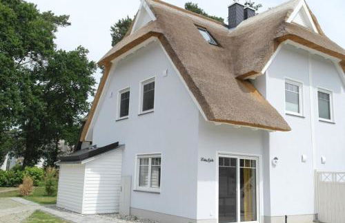 Kleine Birke - Foto 15