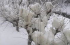 The family bienvenidos a Canfranc - Foto 41