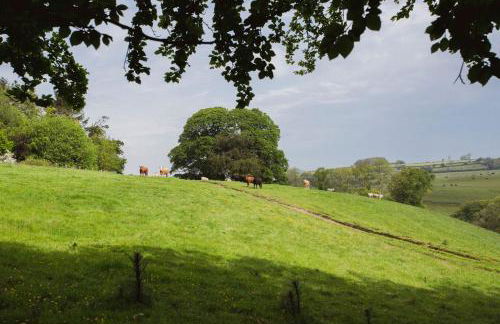 Catchfrench Manor - Foto 12