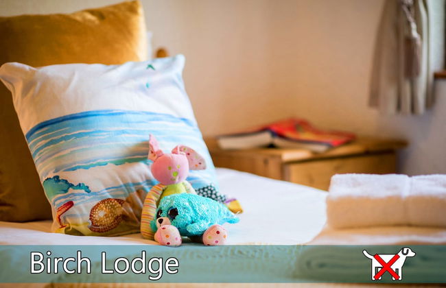 St. Tinney Farm - Photo 52