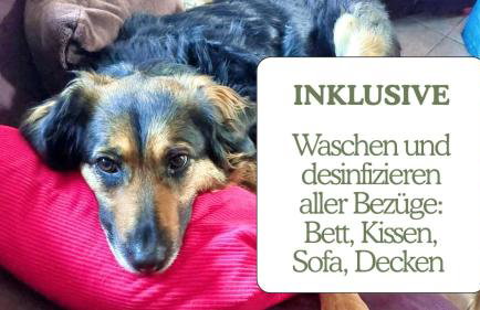 Hundeurlaub - Tiny House im Wald - Foto 2