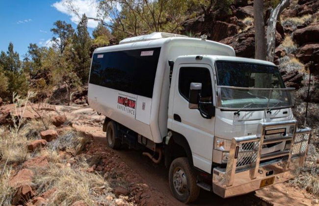 Palm Valley et Promenade en 4x4 - Excursion d'une Journée - Photo 4