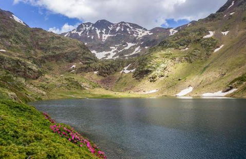 Era de Caçador - Foto 36