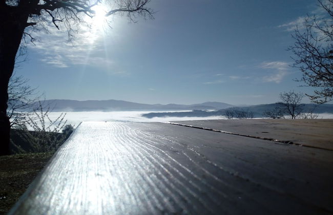 Agriturismo Il Beccafico Alpaca - Foto 26