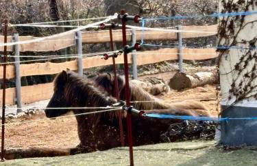 bei den Hundertelfen - Foto 3